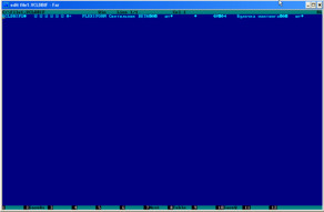 Borland Database формат
